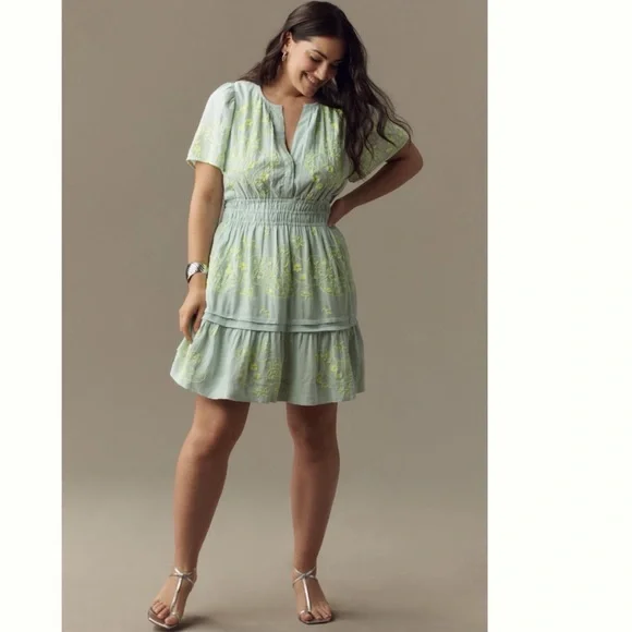NWT The Somerset Mini Dress: Embroidered Linen Edition XL